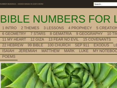 biblenumbersforlife.com.png