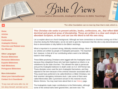 bibleviews.com.png
