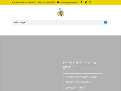 bicycleway.com.png