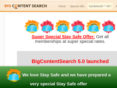 bigcontentsearch.com.png