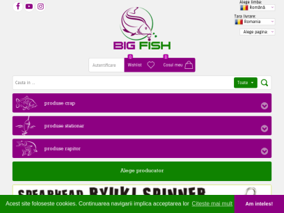 bigfish.ro.png