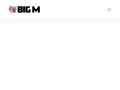 bigmtransport.com.png