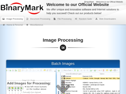 binarymark.com.png