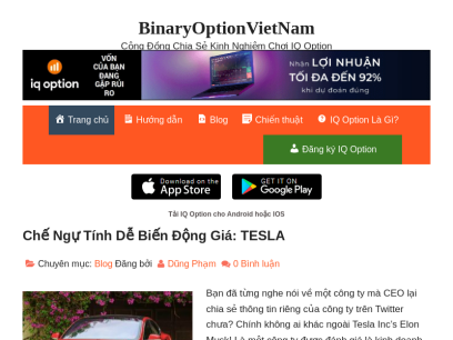 binaryoptionvietnam.com.png