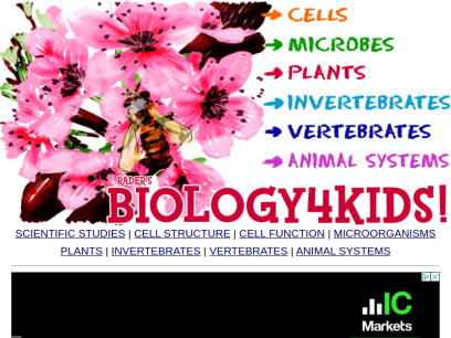 biology4kids.com.png