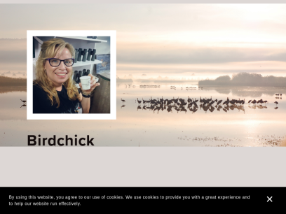 birdchick.com.png