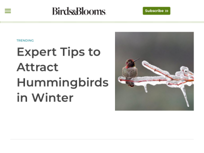 birdsandblooms.com.png