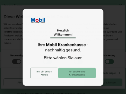 bkk-mobil-oil.de.png