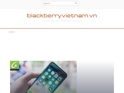 blackberryvietnam.vn.png