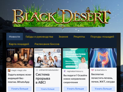 blackdesert-info.ru.png