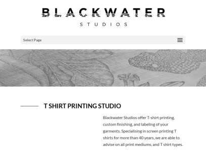 blackwaterstudios.co.uk.png