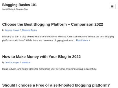 bloggingbasics101.com.png
