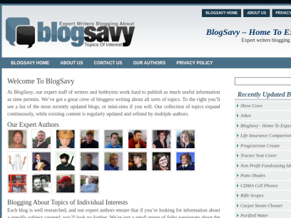 blogsavy.com.png