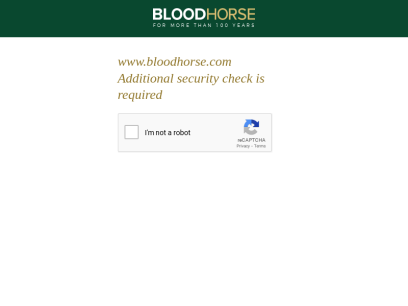 bloodhorse.com.png