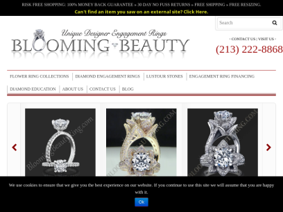 bloomingbeautyring.com.png