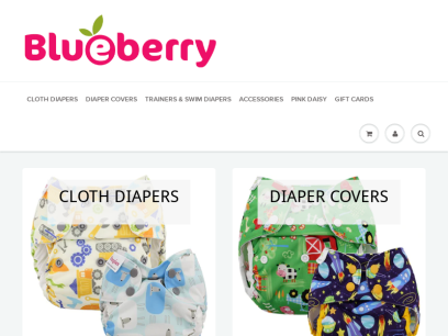 blueberrydiapers.com.png