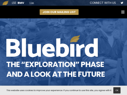 bluebirdmv.com.png