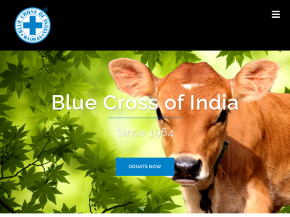 bluecrossofindia.org.png