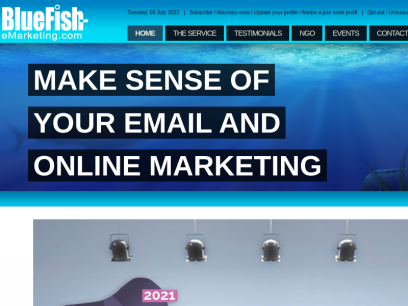 bluefish-emarketing.com.png