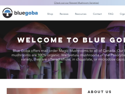 bluegoba.com.png