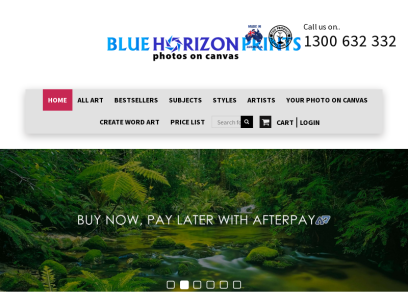 bluehorizonprints.com.au.png