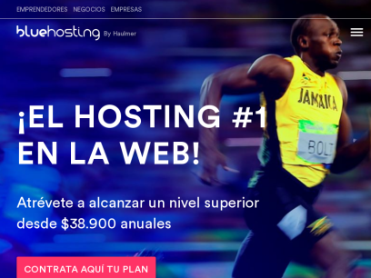 bluehosting.cl.png