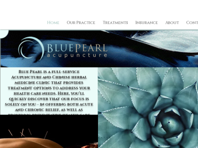 bluepearlclinic.com.png