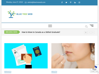 bluetreeweb.com.png