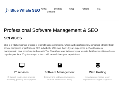 bluewhaleseo.com.png
