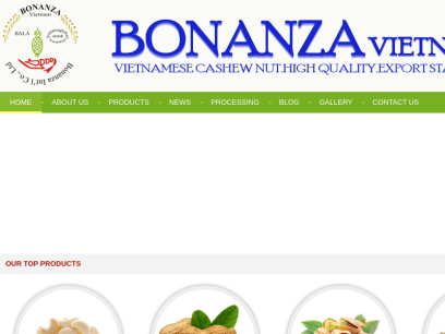 bonanza.com.vn.png