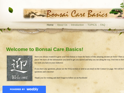 bonsaicarebasics.com.png