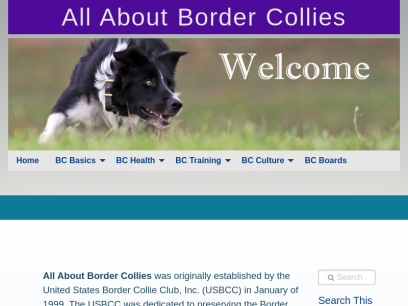 bordercollie.org.png