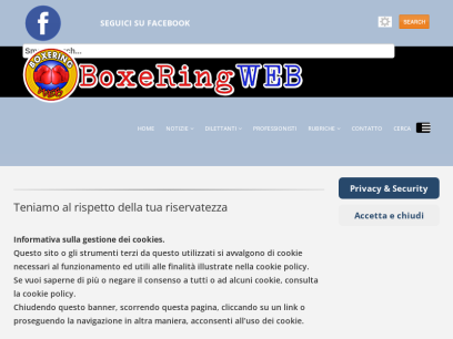 boxeringweb.net.png