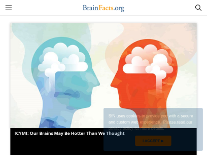 brainfacts.org.png