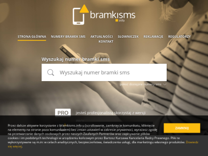 bramkisms.info.png