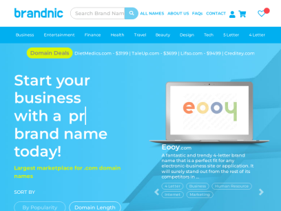 brandnic.com.png
