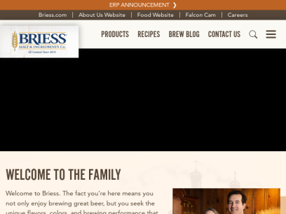 brewingwithbriess.com.png