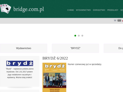 bridge.com.pl.png