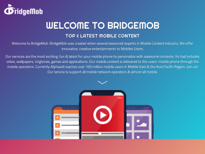 bridgemob.com.png