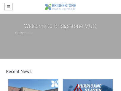 bridgestonemud.com.png