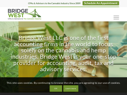bridgewestcpas.com.png