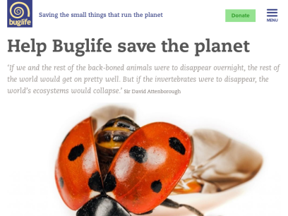 buglife.org.uk.png