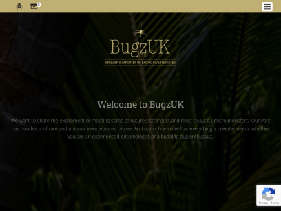 bugzuk.com.png
