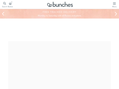 bunches.co.uk.png