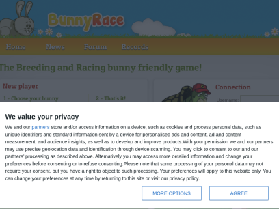 bunnyrace.com.png