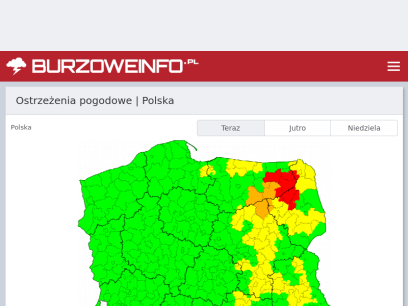 burzoweinfo.pl.png