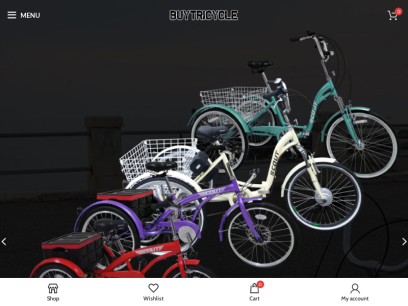 buytricycle.com.png