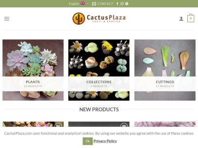 cactusplaza.com.png