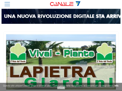 canale7.tv.png