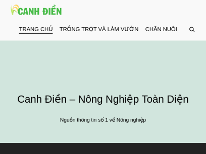 canhdien.com.png